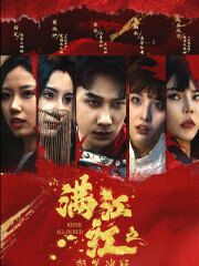 满江红之怒发冲冠 第21-40集