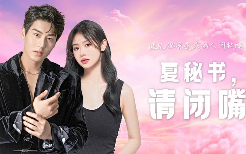 夏秘书，请闭嘴 第1-30集.