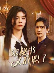 宋秘书又辞职了 第21-40集
