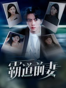 霸道前妻 全集完结(大结局)