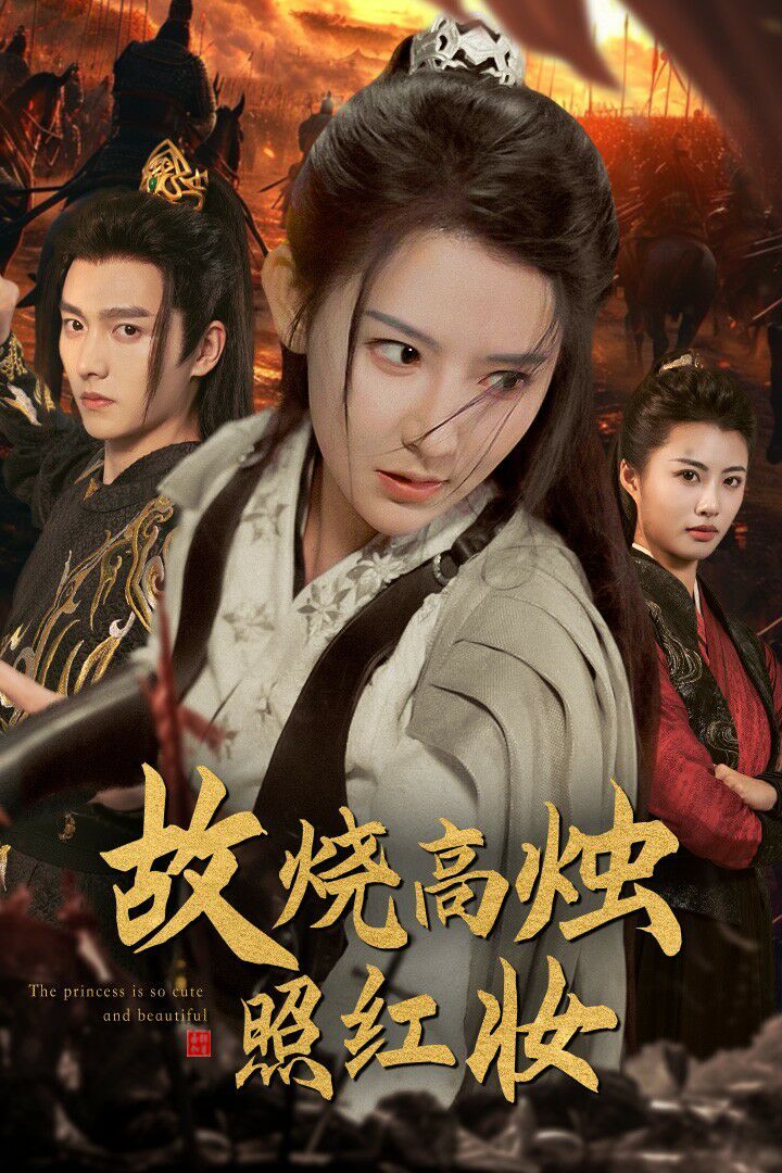 故烧高烛照红妆 第21-40集