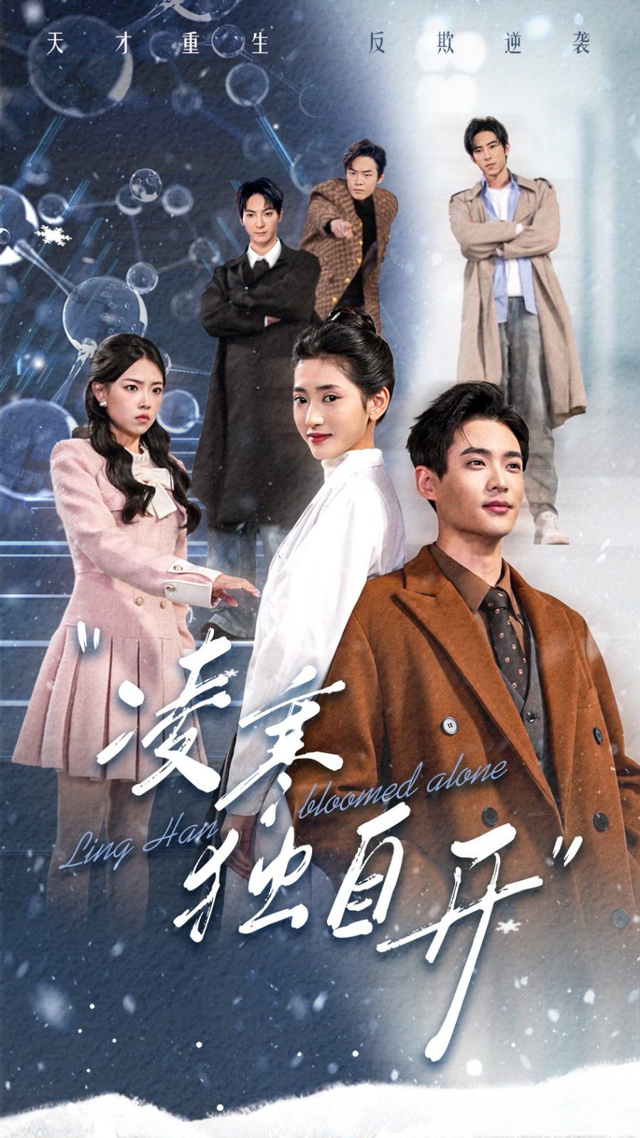 凌寒独自开 第1-20集