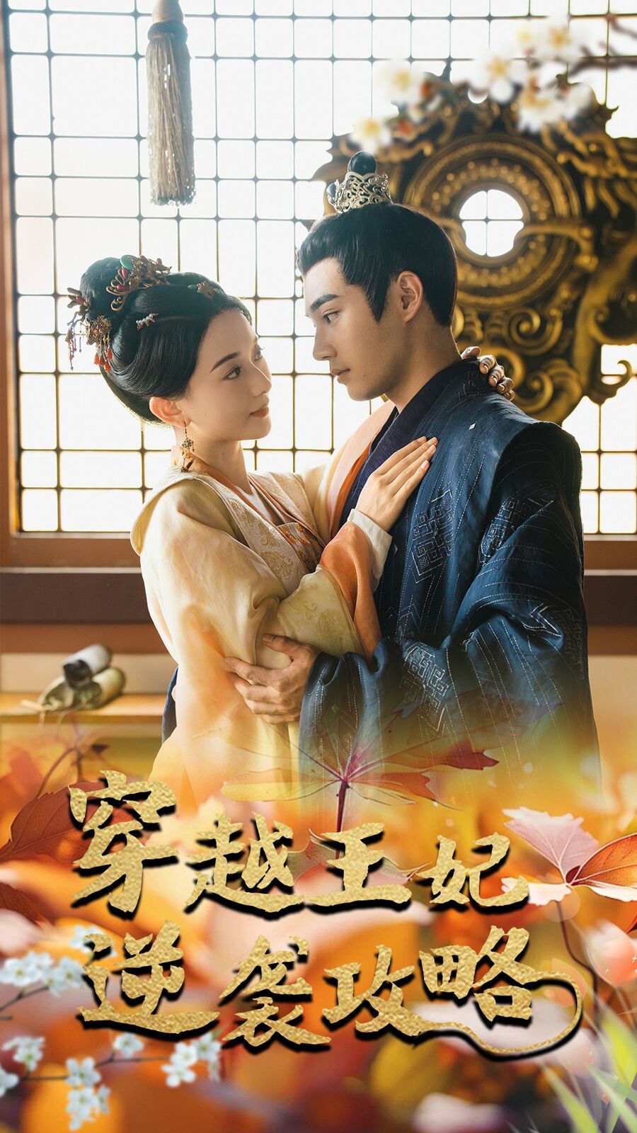 穿越王妃逆袭攻略 第1-20集