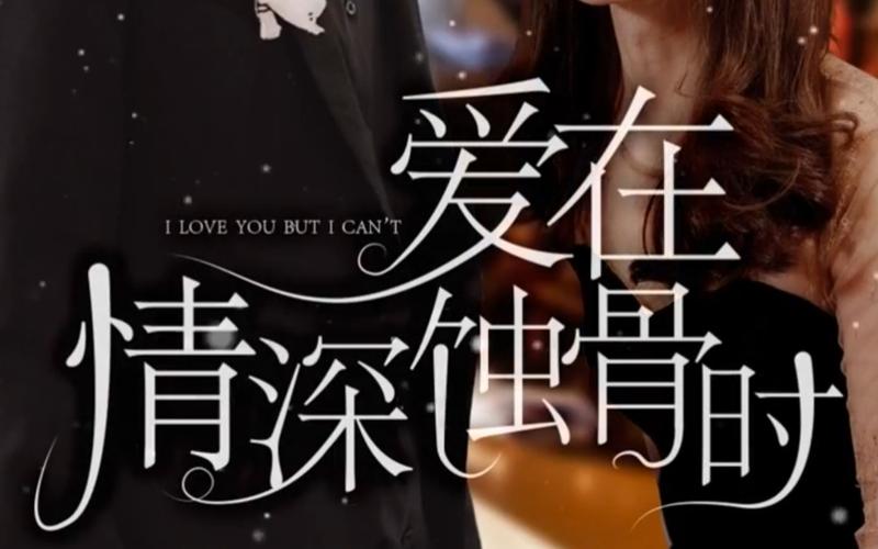 爱在情深蚀骨时 第1-20集