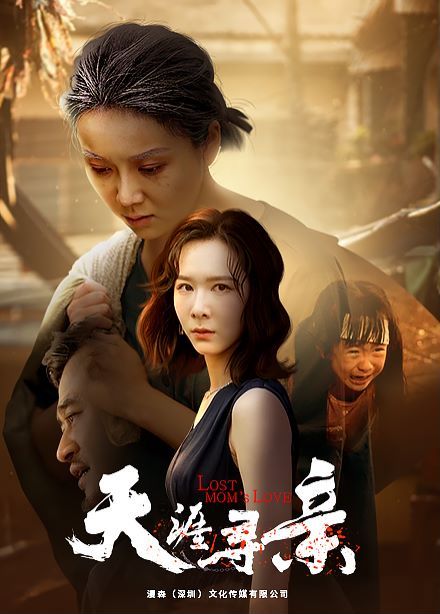 天涯寻亲 第21-40集