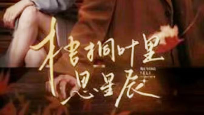 梧桐叶里思星辰 第21-40集