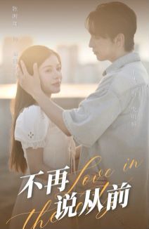 不再说从前 第21-40集