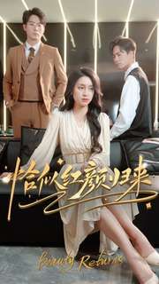 恰似红颜归来 第1-20集