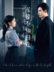 沉暮不知归处 第21-40集