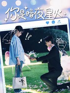 你是暗夜星火 全集(大结局)