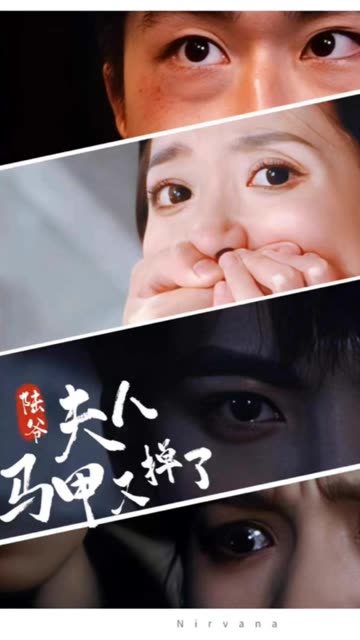 陆爷，夫人马甲又掉了 全集(大结局)