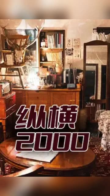 纵横2000 全集(大结局)