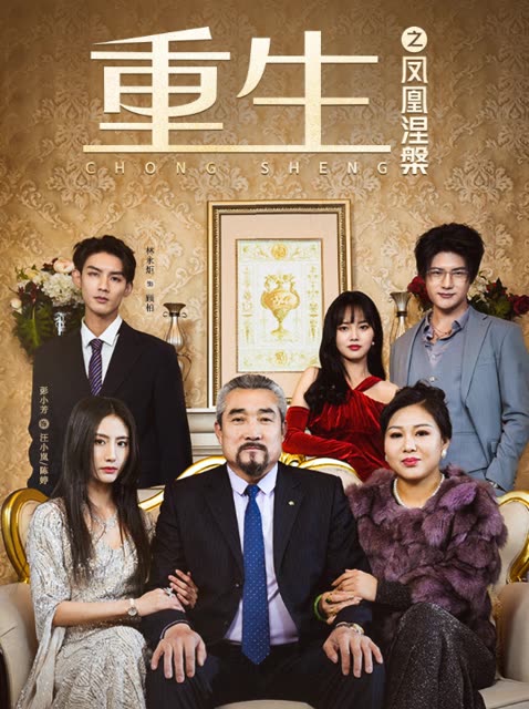 重生之凤凰涅槃 全集(大结局)