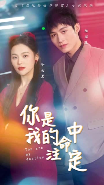 你是我的命中注定 全集(大结局)