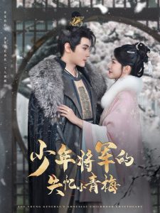 少年将军的失忆小青梅 全集(大结局)