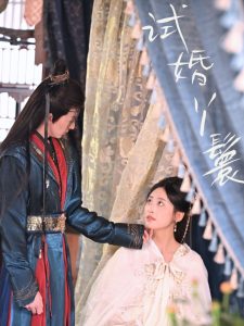 试婚丫鬟 全集(大结局)