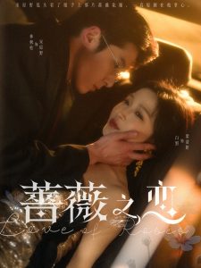 蔷薇之恋 全集(大结局)