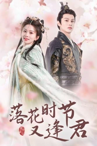 落花时节又逢君短剧 1-20集